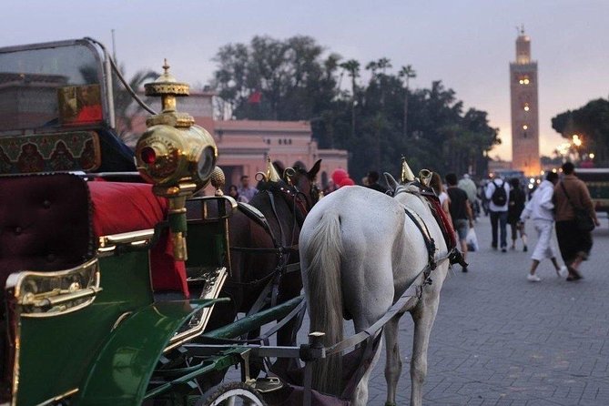 Guided Shared Day Trip Agadir to Marrakech medina & souks - Should you book it?