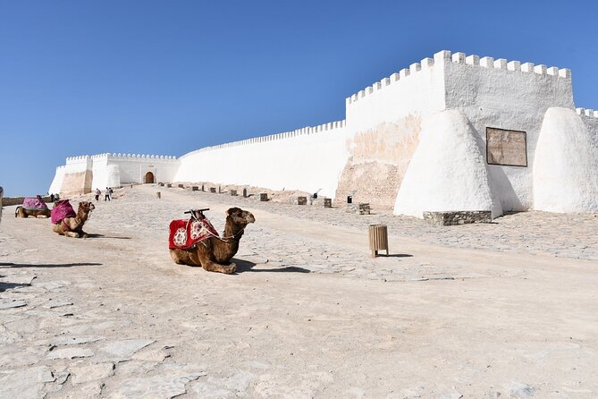 Guided Tour of Souk El Had in Agadir with a Certified Guide - Key points to know before you book