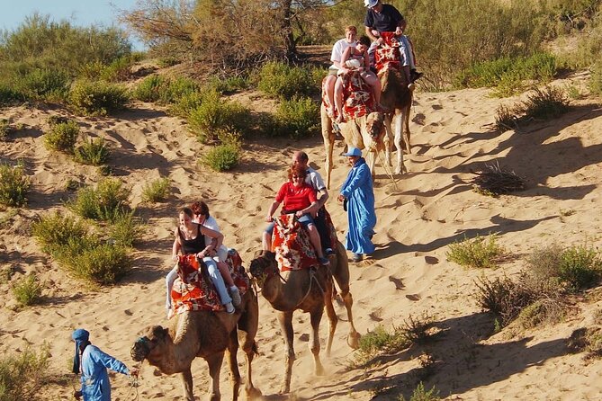 Guided Tour of Souk El Had in Agadir with a Certified Guide - What the guide adds to the experience