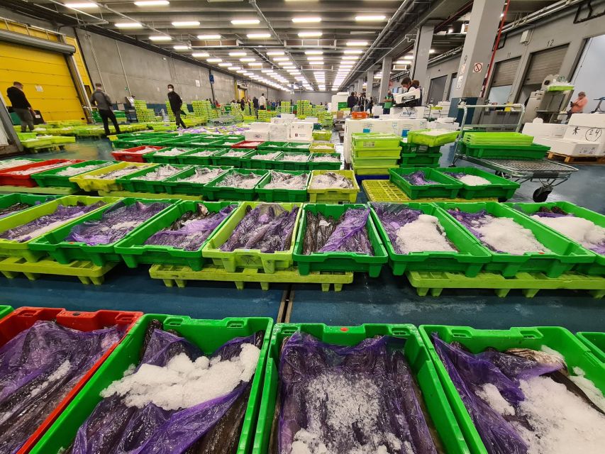Guided visit to the Pasaia fish market - Inside Pasaia’s working fish market