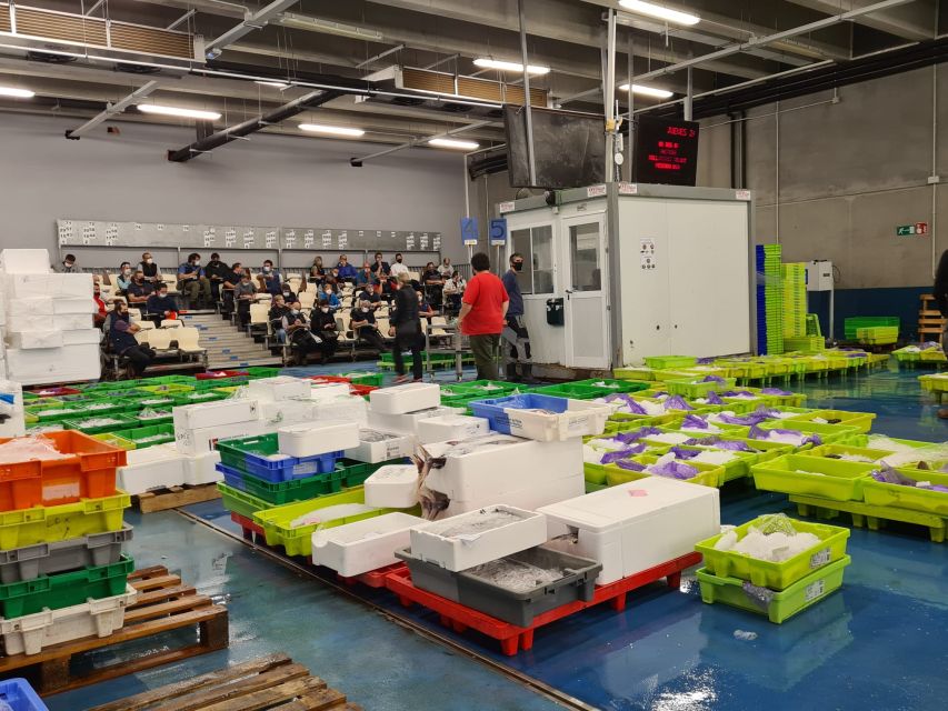 Guided visit to the Pasaia fish market - From unloading to the fishmonger