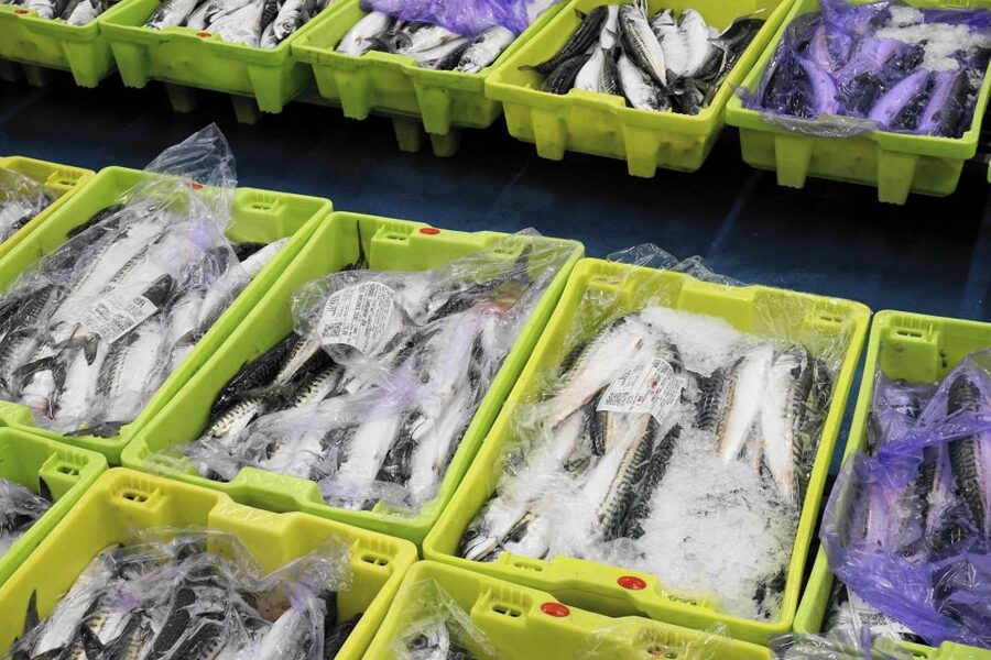 Guided visit to the Pasaia fish market - Breakfast beside the market