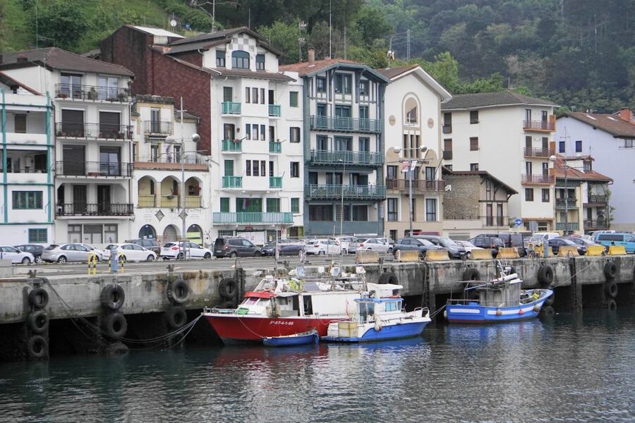 Guided visit to the Pasaia fish market - What the small group changes