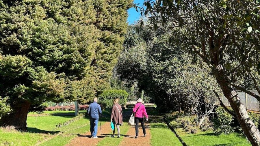 Half-Day Country Market Tour on Madeira Island - Cancellation and booking flexibility