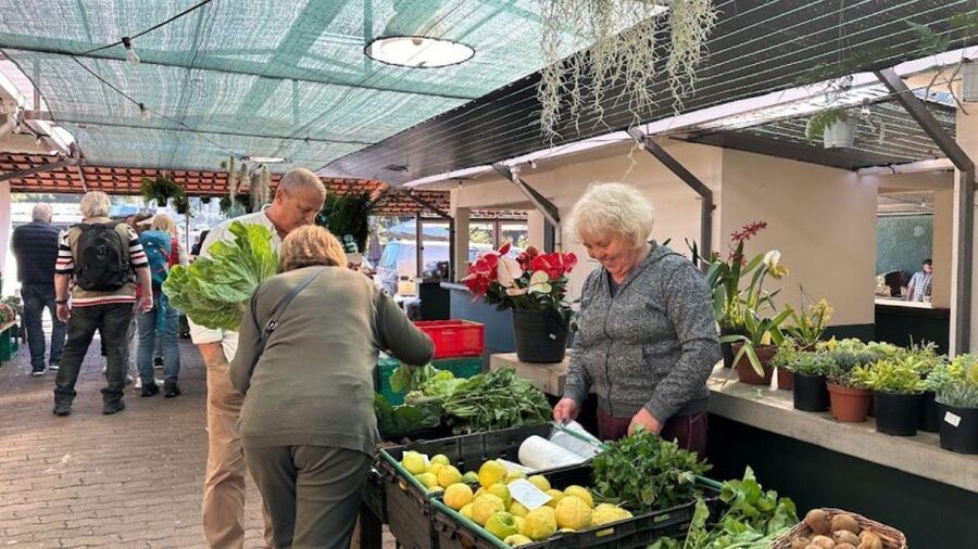Half-Day Country Market Tour on Madeira Island - Why this four-hour route works