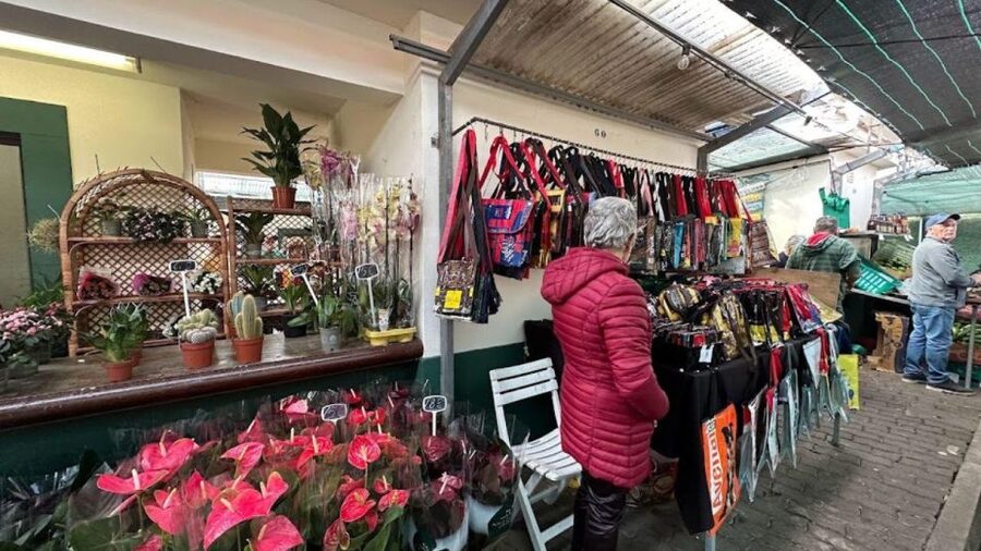 Half-Day Country Market Tour on Madeira Island - Food, drinks, and what to bring