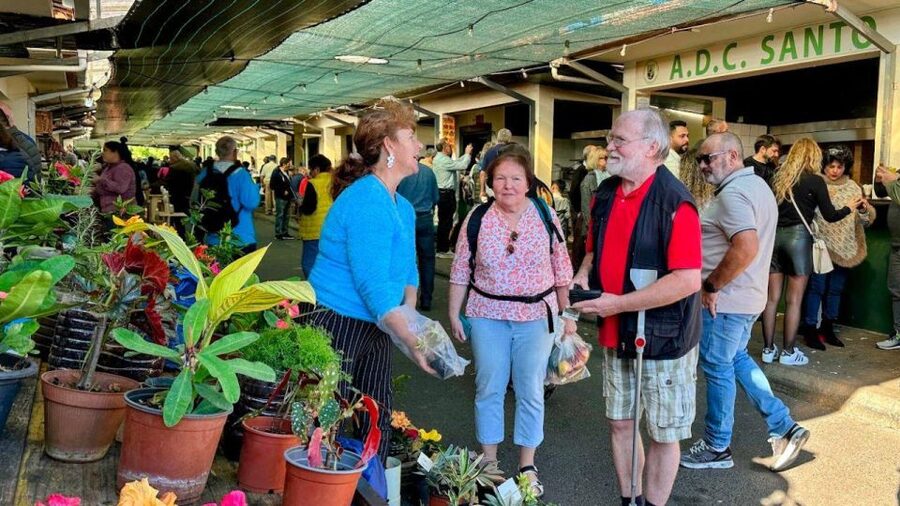 Half-Day Country Market Tour on Madeira Island - Who will enjoy this tour most