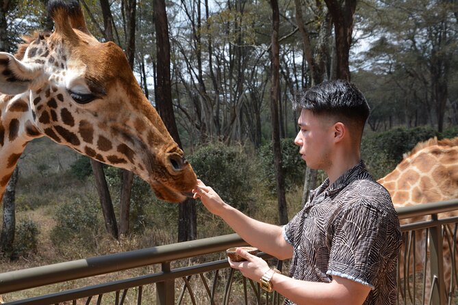 Half-Day Nairobi National Park and Maasai Market with Pick up - Pickup, timing, and communication