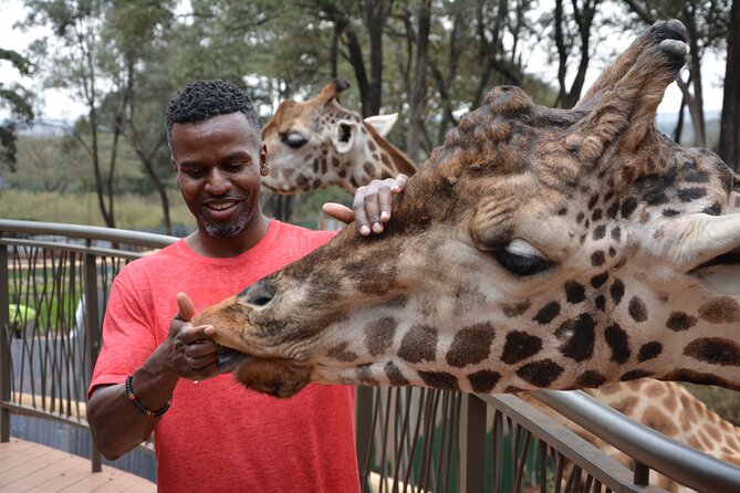 Half-Day Nairobi National Park and Maasai Market with Pick up - The cancellation and weather rules