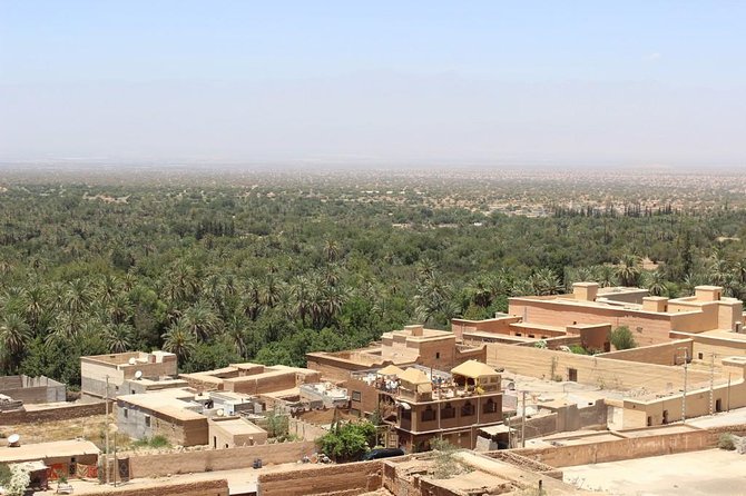 Half day tour : Agadir Goats in argan trees & Souk El Had Market - Souk El Had gives the tour its local color