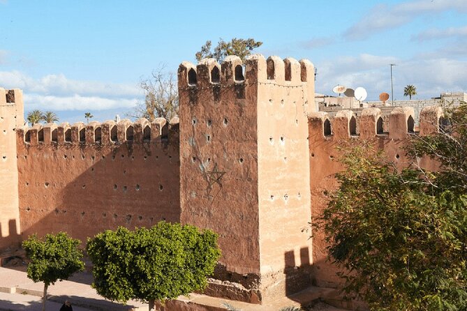 Half day tour : Agadir Goats in argan trees & Souk El Had Market - Is $41 good value?