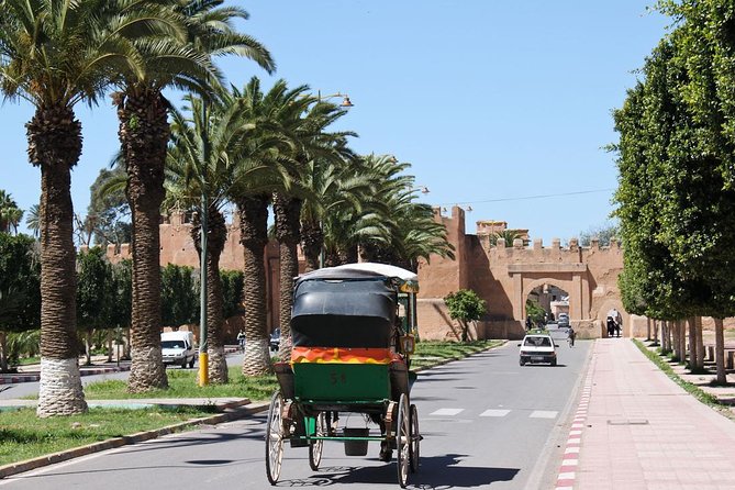 Half day tour : Agadir Goats in argan trees & Souk El Had Market - Taroudant and Tiout need confirmation