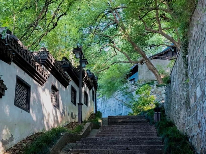 Hangzhou Insider Mini-Hike: TCM, Hill Views and Wet Market - Following Wu Shan’s temples and unusual rock carvings