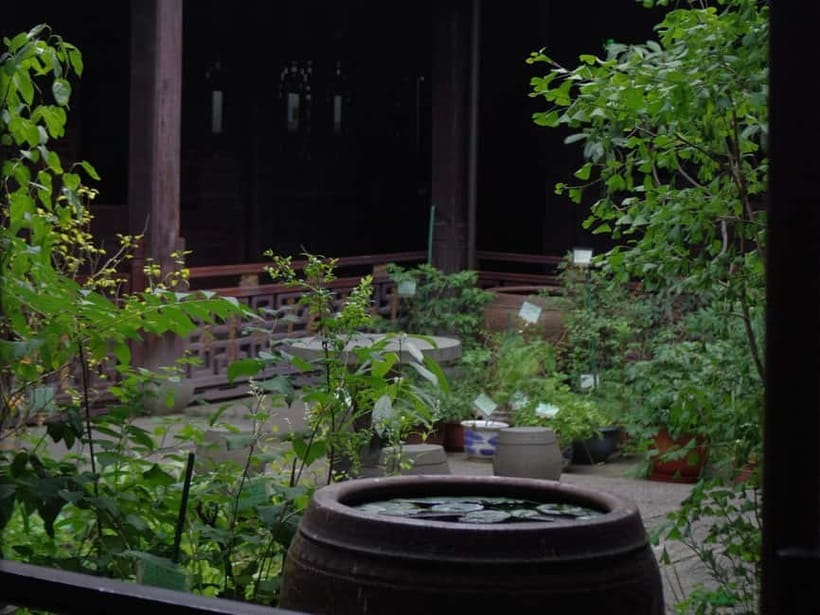 Hangzhou Insider Mini-Hike: TCM, Hill Views and Wet Market - Who should book this walk
