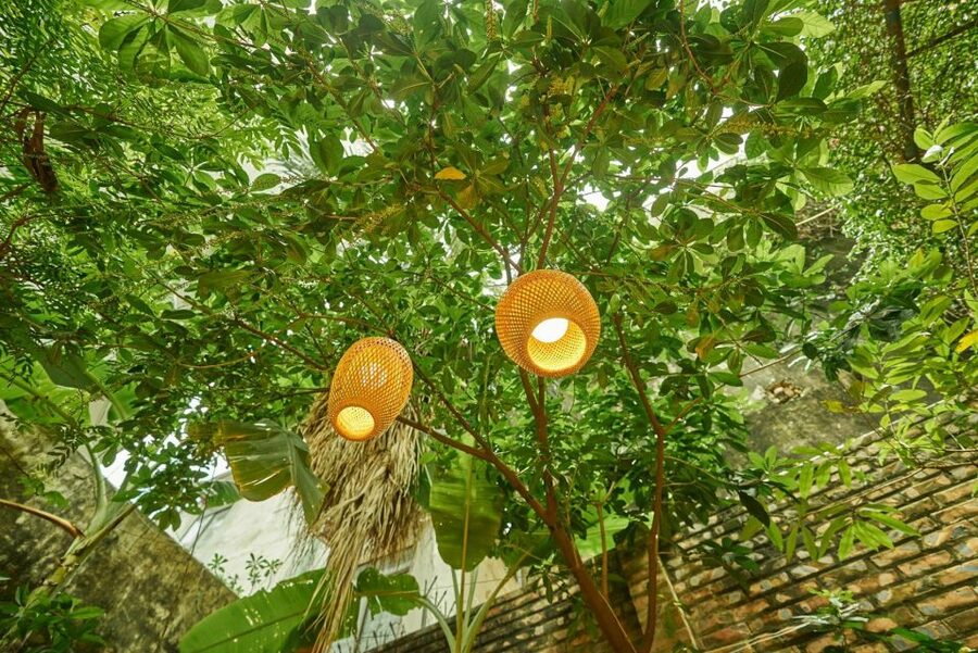 Hanoi’s Culinary: Authentic Cooking Class and Local Market - Choosing the three dishes