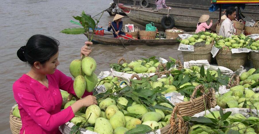 HCMC: Cai Rang Floating Market & Mekong Delta Private Tour - Key points at a glance