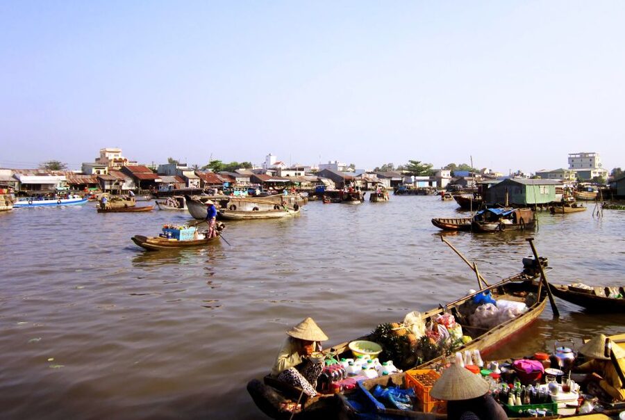 HCMC: Cai Rang Floating Market & Mekong Delta Private Tour - From the Mekong River to the smaller canals