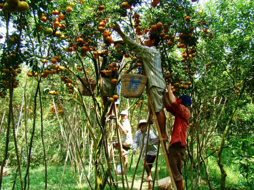 HCMC: Cai Rang Floating Market & Mekong Delta Private Tour - Lunch and the true cost of the day
