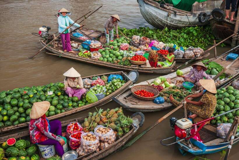 Ho Chi Minh City: Cai Rang Floating Market in Can Tho Tour - What the $100 price really covers