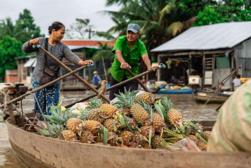 Ho Chi Minh City: Cai Rang Floating Market in Can Tho Tour - Should you book the Cai Rang and Son Islet tour?