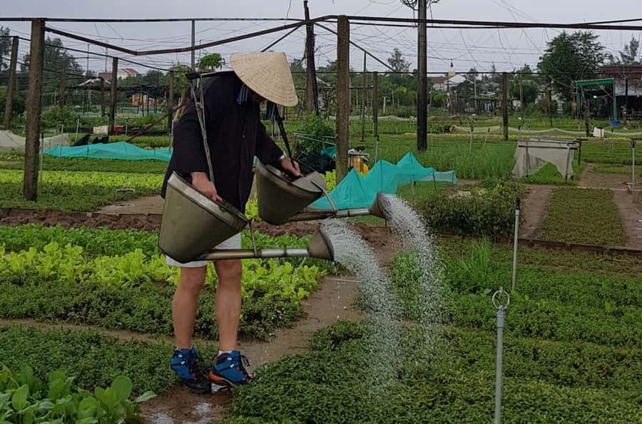 Hoi An Cooking Class With Market and Bamboo Basket Boat Tour - Key points at a glance
