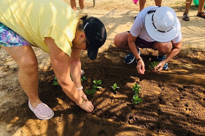 Hoi An Local Market and Vegetable Village Cooking Class - Why this Hoi An cooking class works