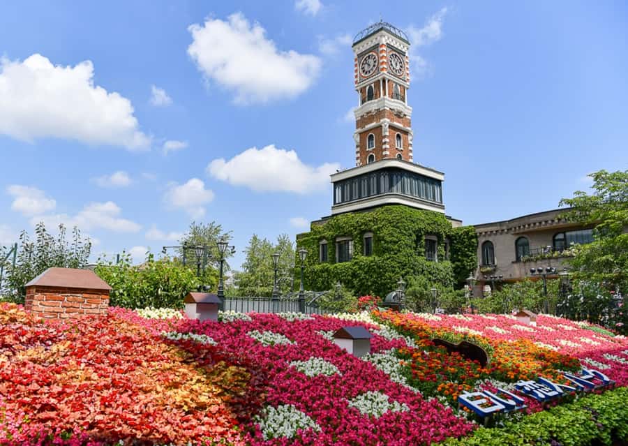 Hokkaido Sapporo :Hill of Buddha, Beer Museum & Fish Market - Shiroi Koibito Park and the cookie-making show