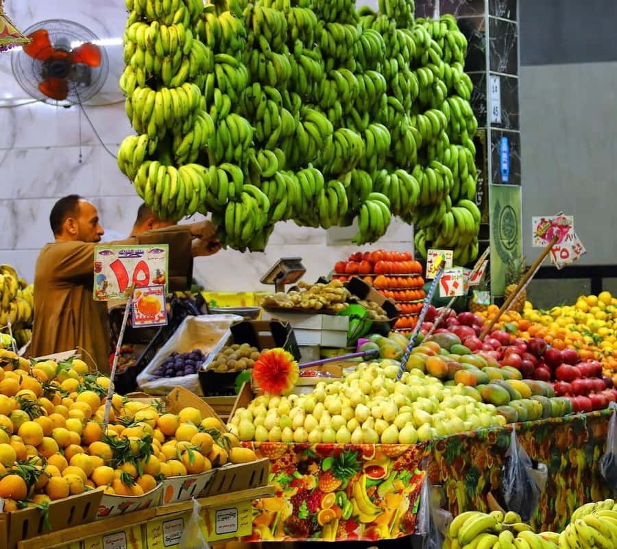 Hurghada: City Guided Tour with Local Market Stop - Hurghada Marina, the polished waterfront