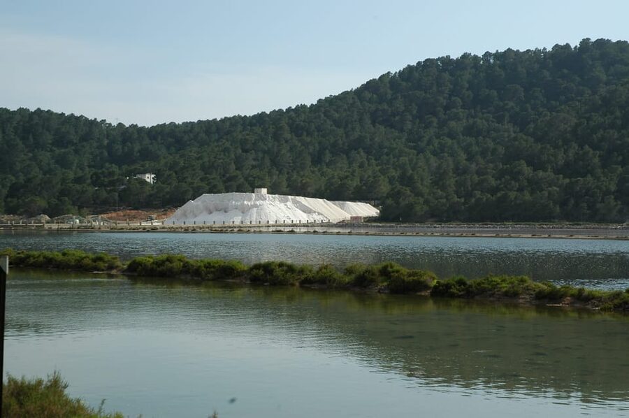 Ibiza: Full-Day Excursion and Visit to a Hippy Market - Sant Francesc de s’Estany and Ibiza’s salt country
