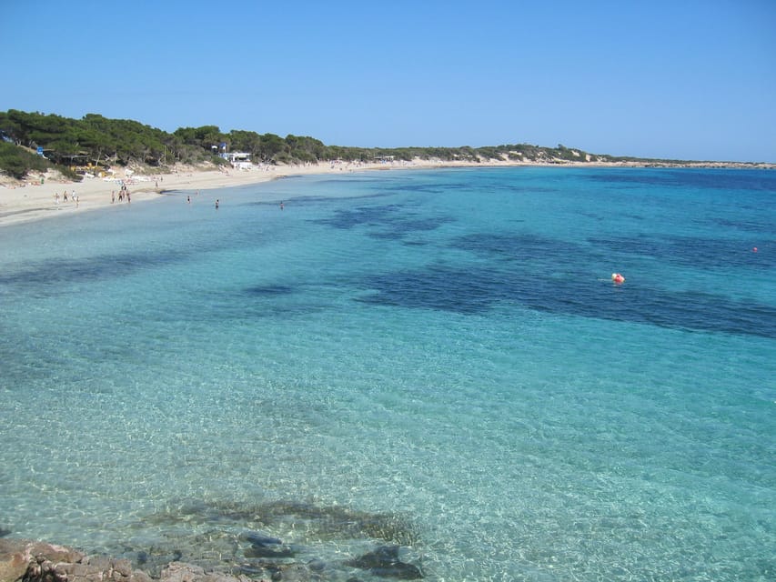 Ibiza: Full-Day Excursion and Visit to a Hippy Market - Las Salinas, San José, and the changing route
