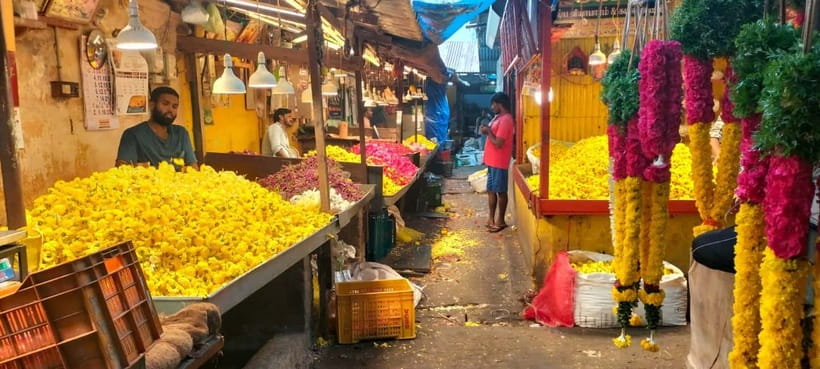 Indian Cooking & Market Tour in Pondicherry with Manisha Ray - Choosing a menu that fits your tastes