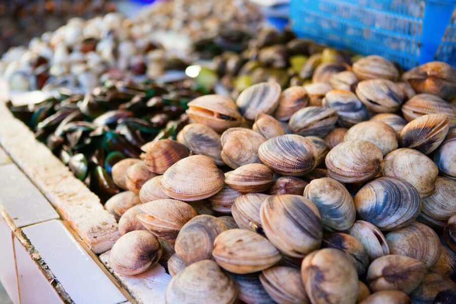 Ischia: Market Tour & Cooking Class at a Local's Home - From fresh ingredients to an Ischian home kitchen