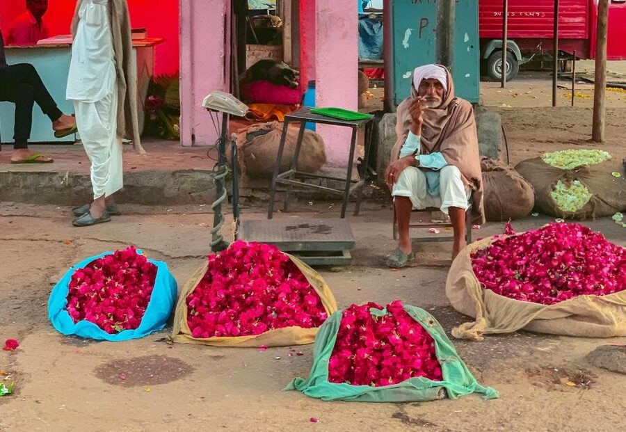 Jaipur: Half-Day Guided Sightseeing Tour with Flower Market - Why the 7:00 AM flower market is the right opening