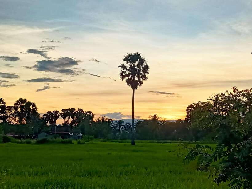 Kampot Countryside include Pepper farm,Kep crab market beach - Salt fields: the practical beginning