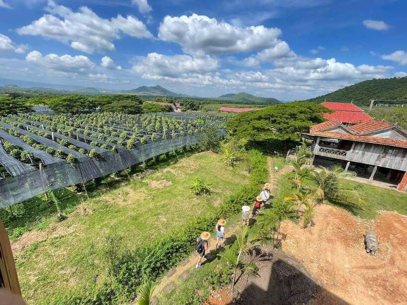 Kampot Pepper Farm, Salt Fields, Crab Market from Phnom Penh - Phnom Chhngok Cave and its limestone formations