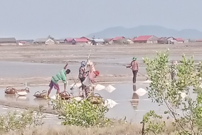 KAMPOT TRAVEL-Pepper farm. Cave.Secret lake-Crab market & Salt... - Phnom Chhngok Cave Temple: one hour underground
