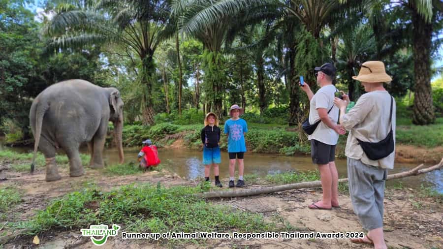 Khaolak Guide Tour to Sunday Market and Rescured Elephant - Key points to know before booking