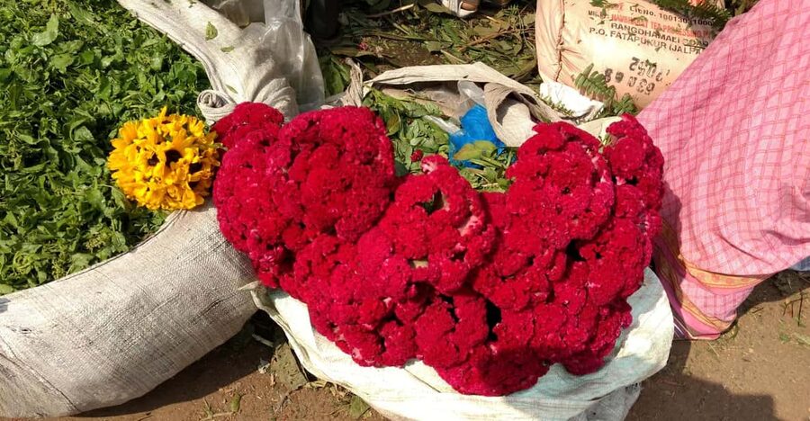 Kolkata: Half-Day Morning Tour w/ Flower Market - Victoria Memorial and Kolkata’s grand civic style
