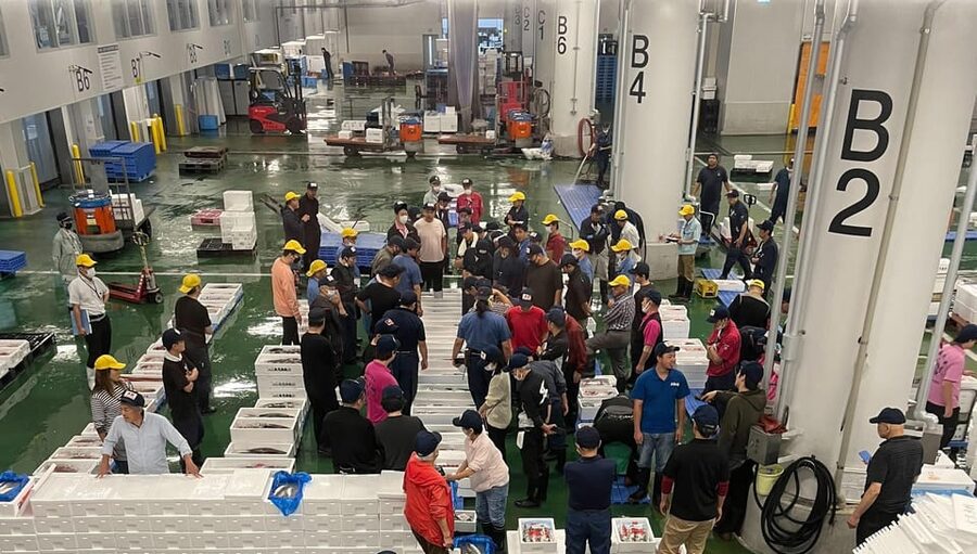 Kyoto: Wholesale Fish Market Walking Tour - Why the fish auction is the main event