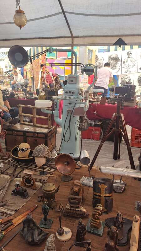 La Lagunilla's Antique Bazaar - Who should book this experience?