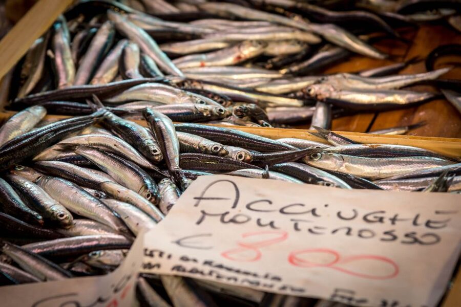 La Spezia: Market Visit and Seafood Cooking Class with Lunch - Who will enjoy this cooking class most