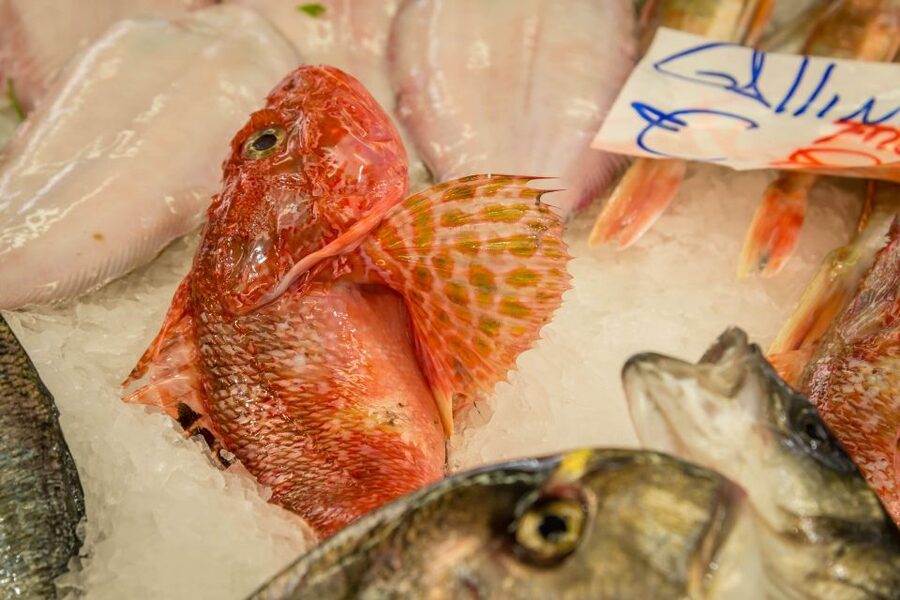 La Spezia: Market Visit and Seafood Cooking Class with Lunch - How to prepare for the three-hour experience