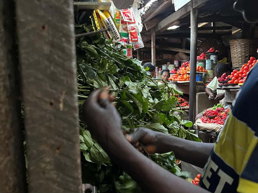 Lagos, Nigeria: Nigerian Cooking Class and Market Visit - Aisha’s kitchen turns shopping into a lesson