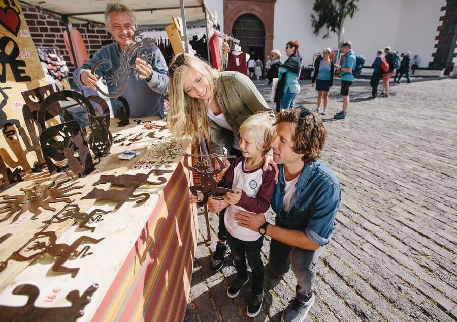 Lanzarote: Teguise Handicraft Market and La Graciosa Island - Who should book this excursion