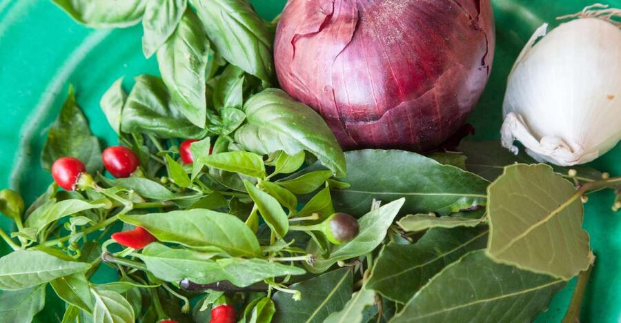 Lecce: Market and Private Cooking Class at a Local's Home - Three recipes and the work behind them