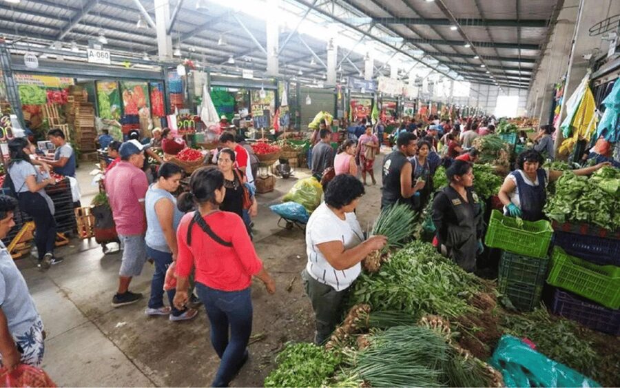 Lima Food Experience with local Markets & Barranco Tour - Chorrillos fish market and Lima’s working waterfront