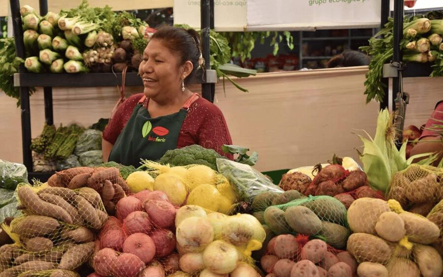 Lima Food Experience with local Markets & Barranco Tour - How the guide affects the experience