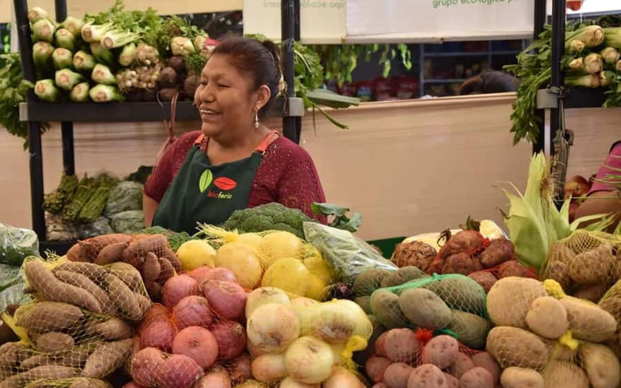 Lima Food Experience with local Markets & Barranco Tour - Who should book this Lima experience?