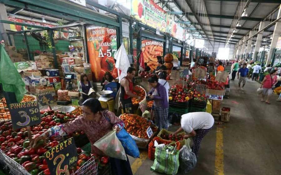 Lima Food Experience with local Markets & Barranco Tour - Surquillo Market: start with the ingredients