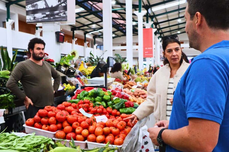 Lisbon: Setúbal Market and Wine tour with Cooking class - Group size, guide, and pace